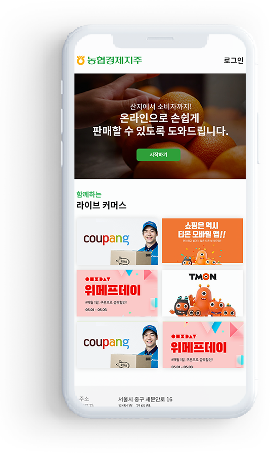 온라인채널